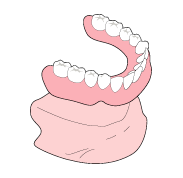 全部床義歯の図